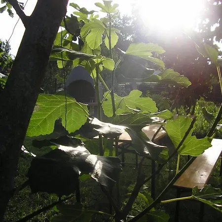 App 5- By Interhome *